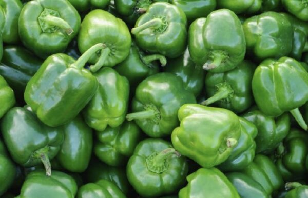 Capsicum/Bell Pepper(green)